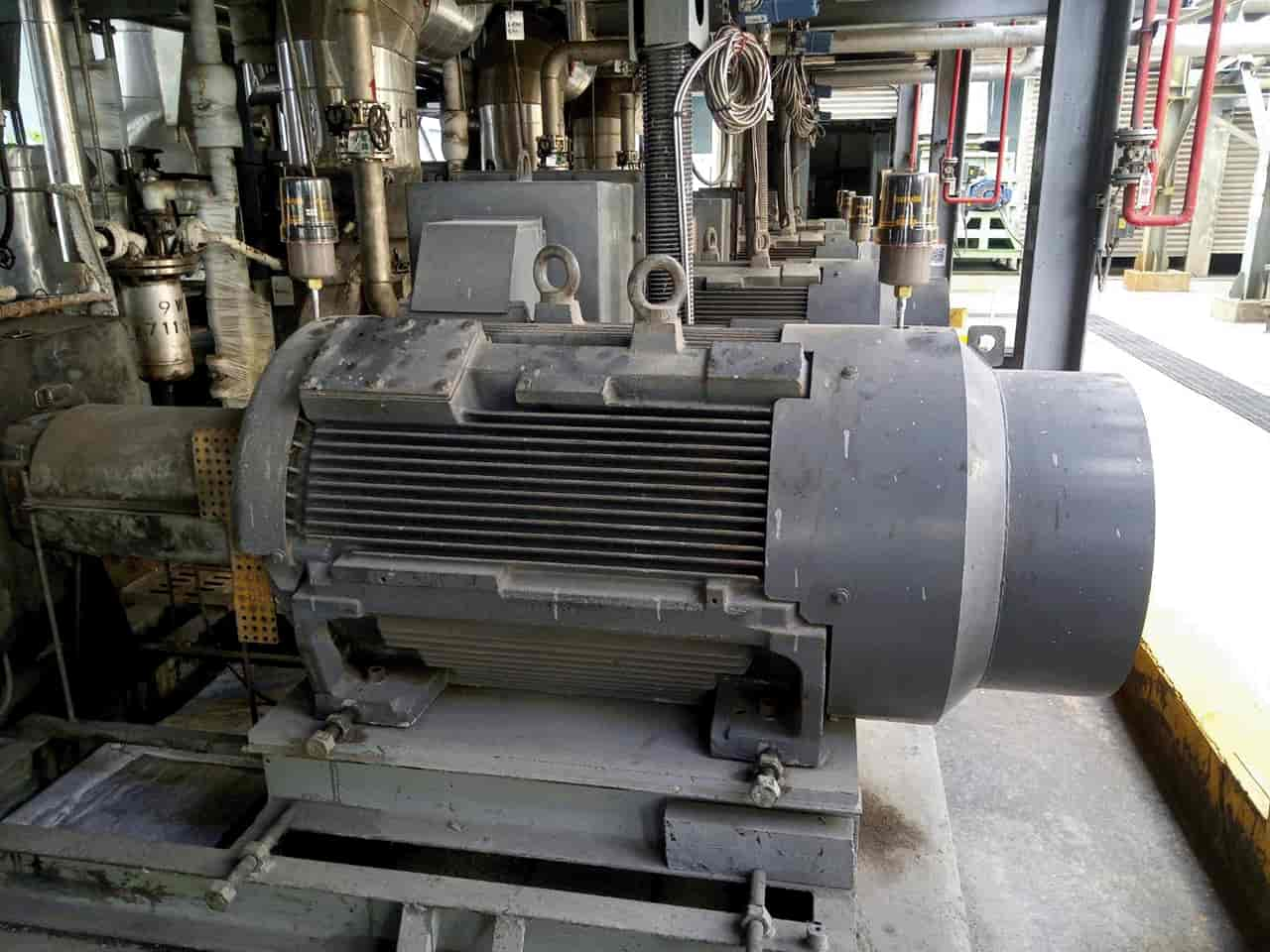 Electric Motor